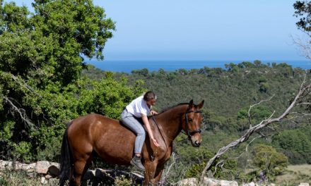 Equicomplice – À Staffa, le projet ambitieux de deux passionnés